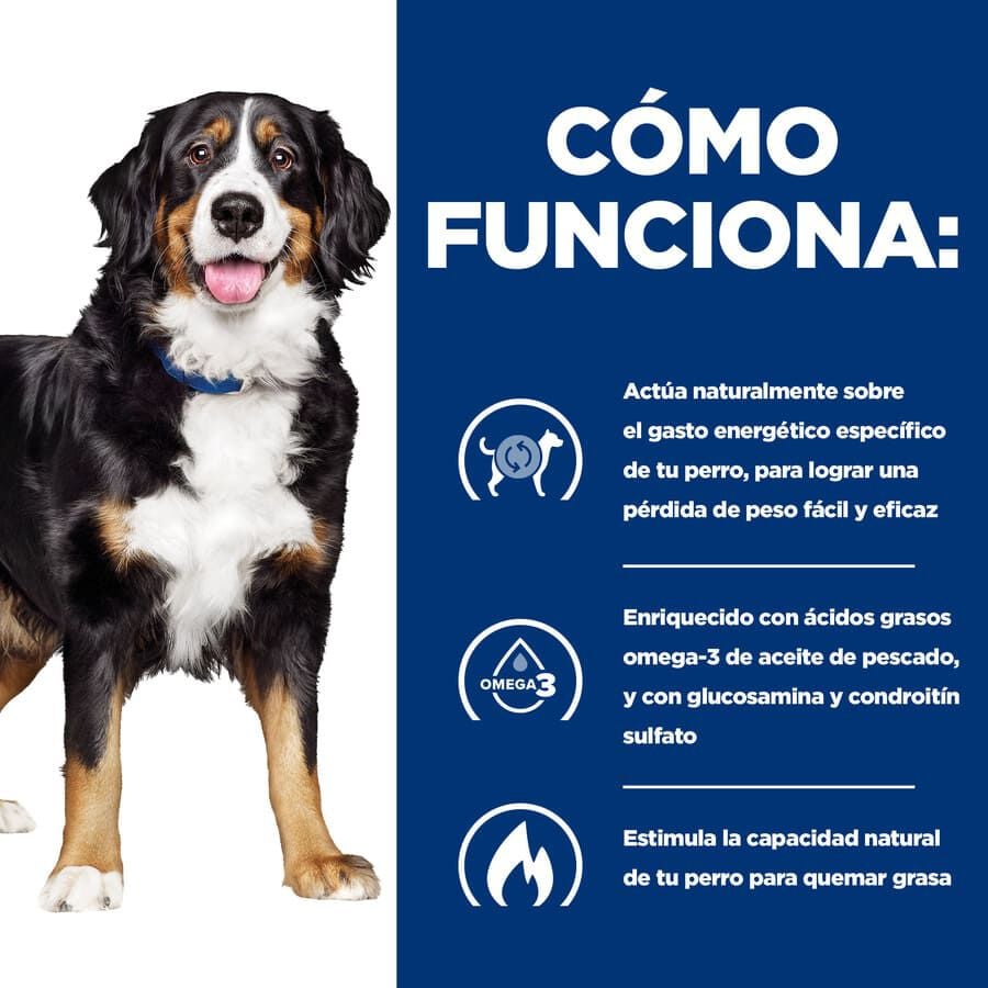 370 g Hill's Prescription Diet Canine j/d Metabolic + Mobility lata para perros, , large indicador imagen numero 3